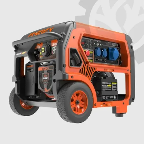 Generador Genergy Baqueira 7000w